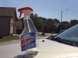 Windex Walking Video https://youtu.be/e-jlJGFhYaw